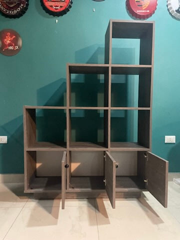Leveled Bookshelf Organizer Plus