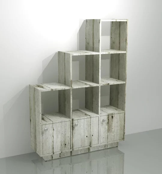 Leveled Bookshelf Organizer Plus
