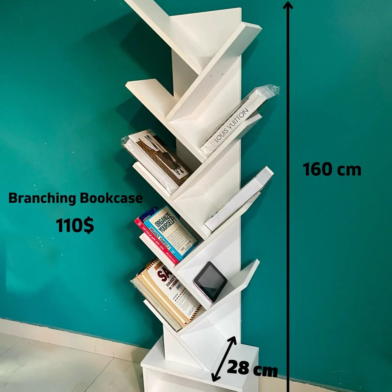 1.66 m