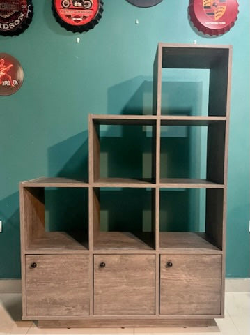 Leveled Bookshelf Organizer Plus