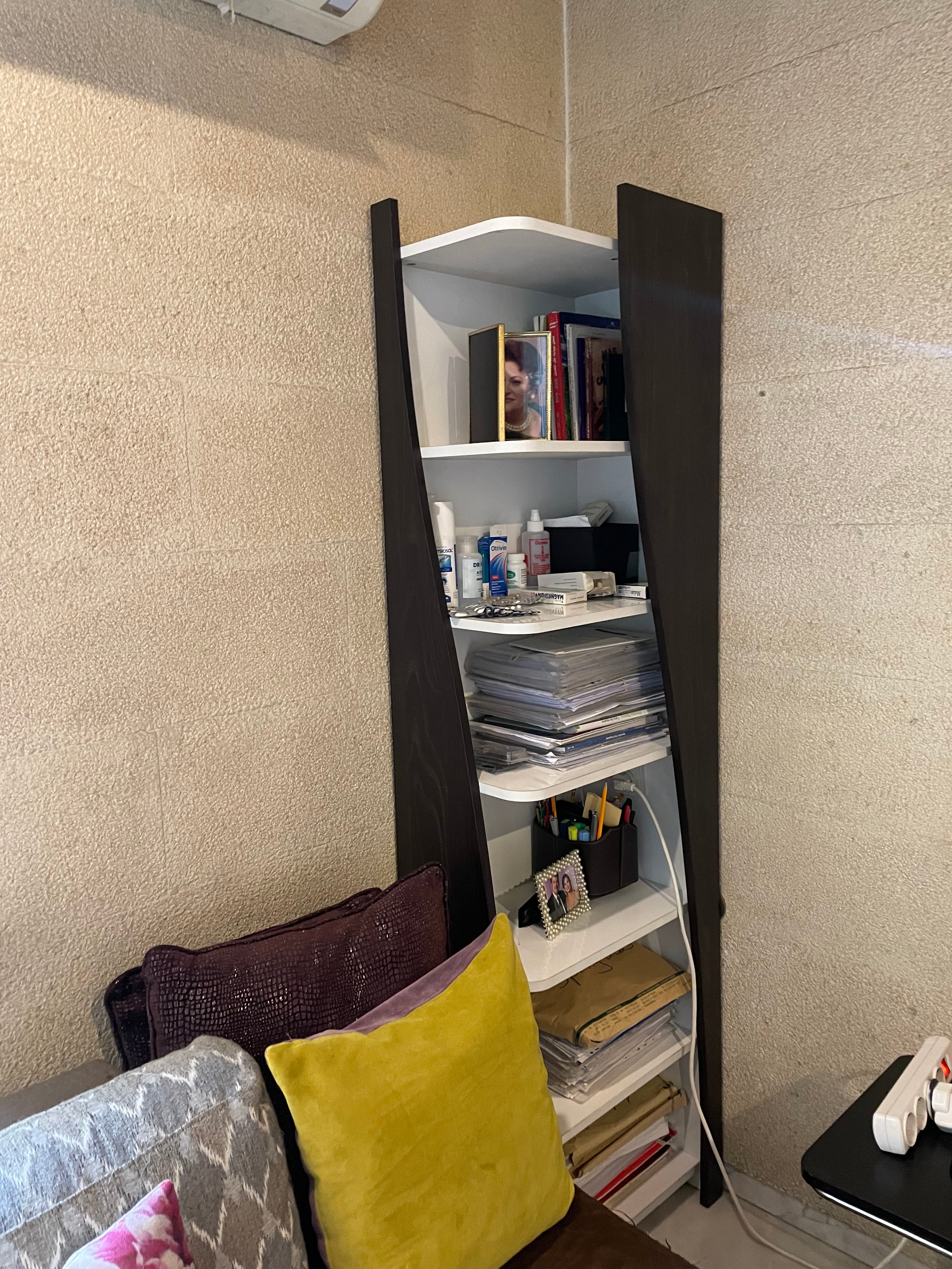 Twisted BookShelf Organizer